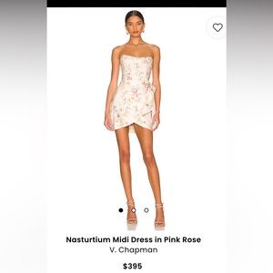 V. Chapman Nasturtium Mini Dress size 10